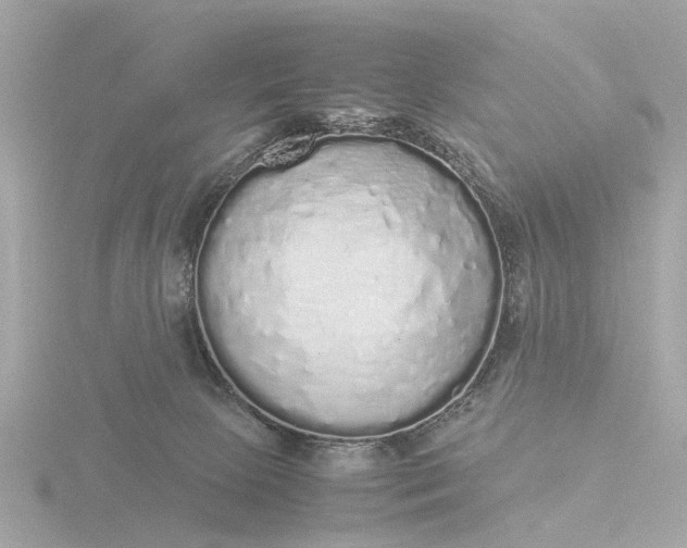 X0000116420081200912221454