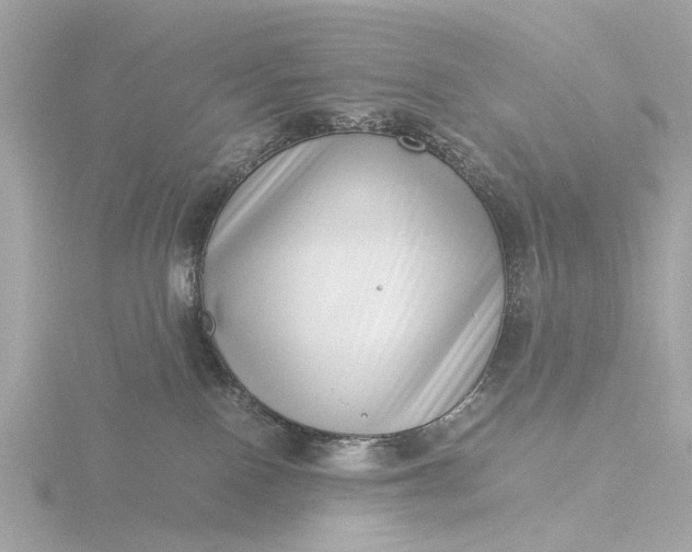 X0000116420090200912221454