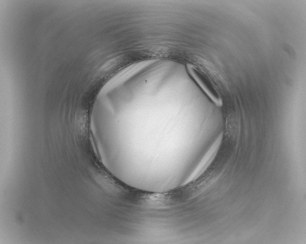 X0000116420092200912221454