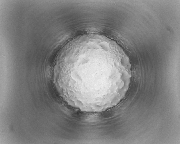 X0000116420093200912221454