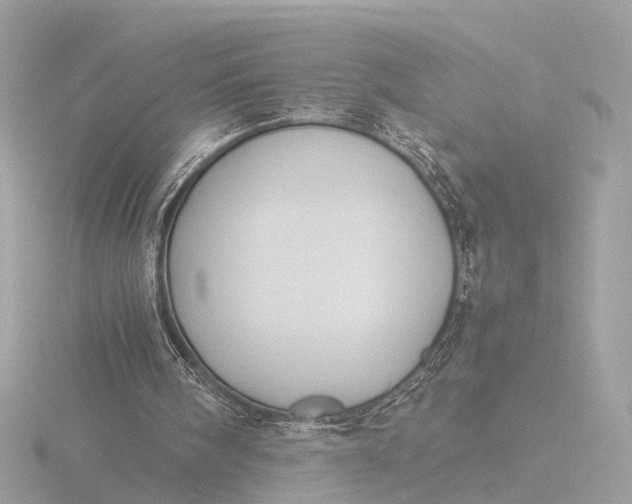 X0000116420098200912221453