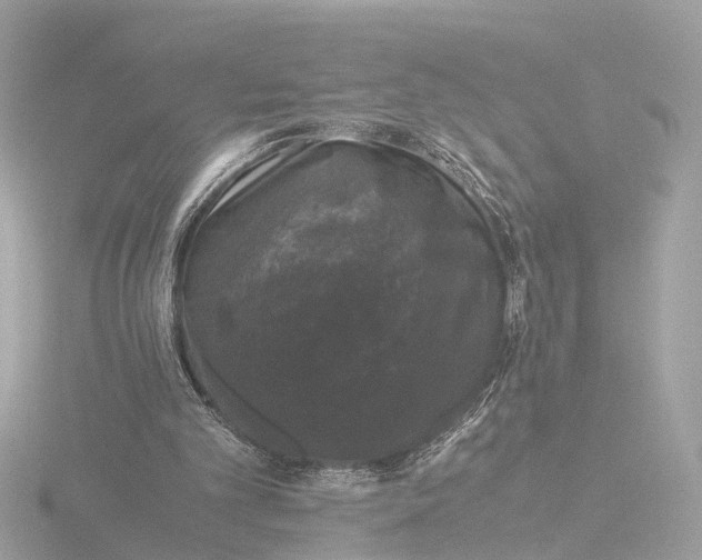 X0000116420101200912221453
