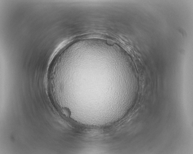 X0000116420102200912221453