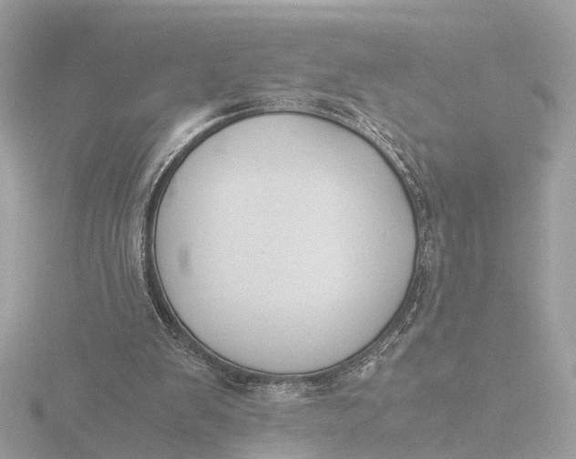 X0000116420103200912221453