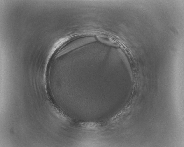 X0000116420104200912221453