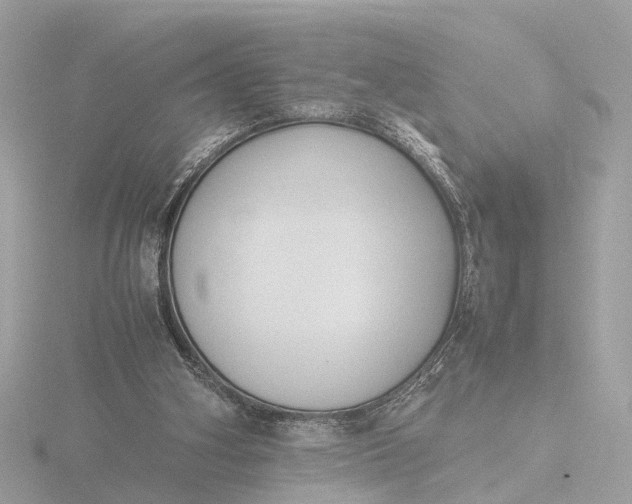 X0000116420106200912221453