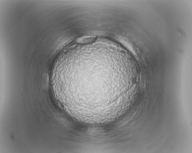 X0000116420109200912221453