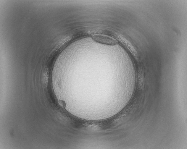 X0000116420113200912221453