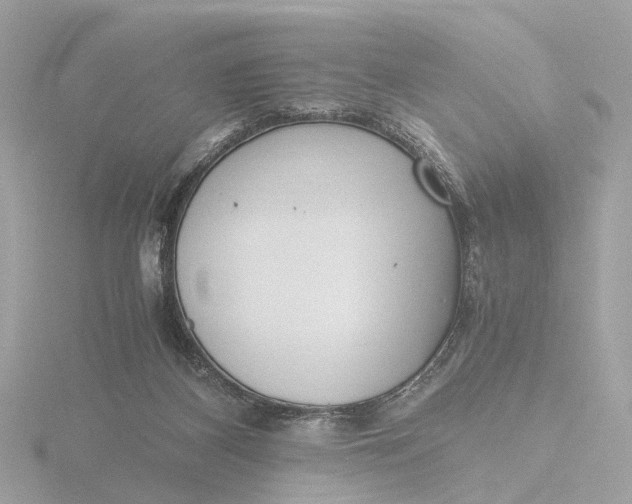 X0000116420116200912221453