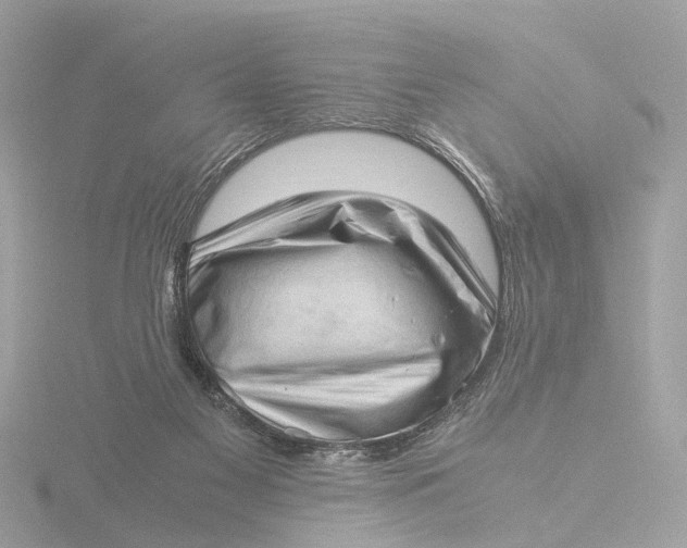 X0000116420117200912221453
