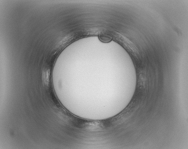 X0000116420118200912221453