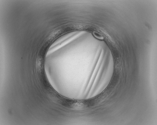 X0000116420119200912221453