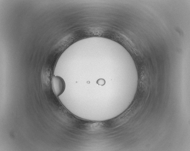 X0000116420122200912221453