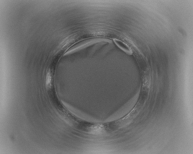 X0000116420124200912221453