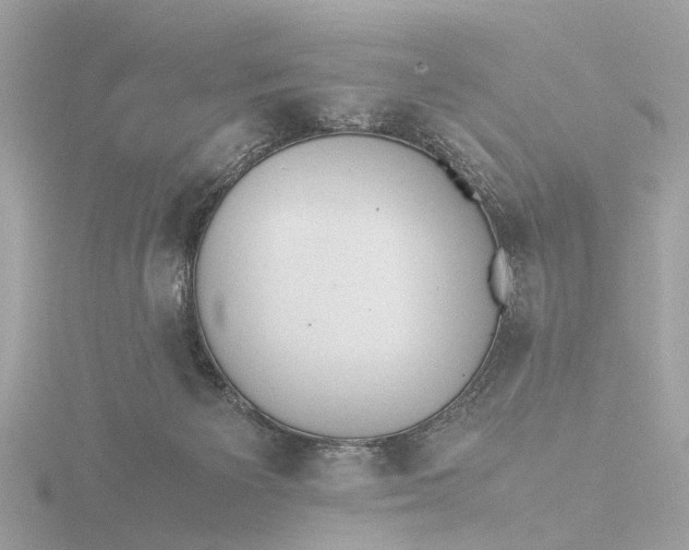 X0000116420125200912221453