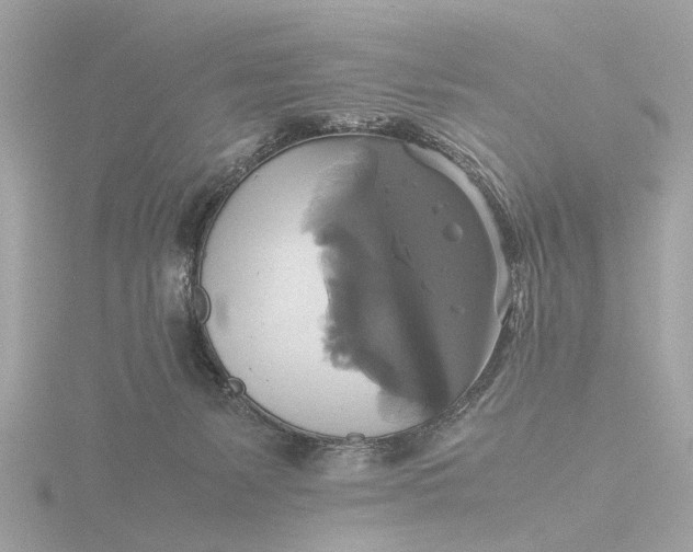 X0000116420127200912221453