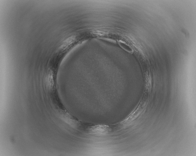 X0000116420128200912221453
