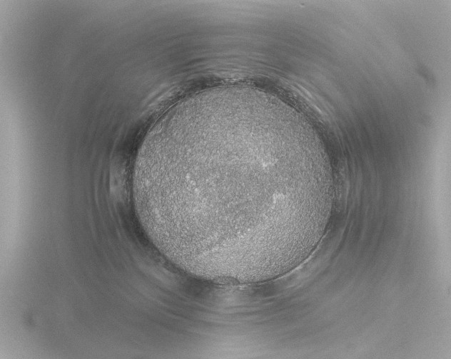 X0000116420136200912221453