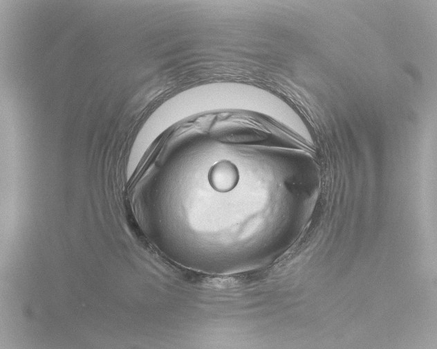 X0000116420137200912221453