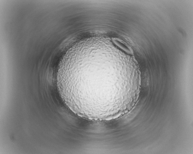 X0000116420140200912221453