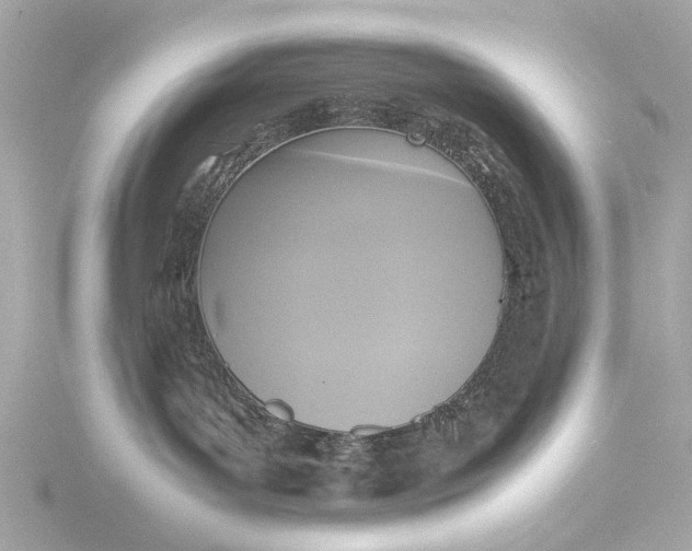 X0000116420143200912221453