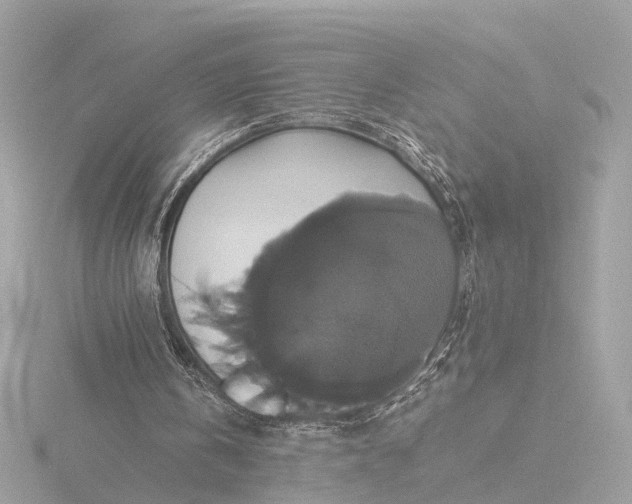X0000116420146200912221452