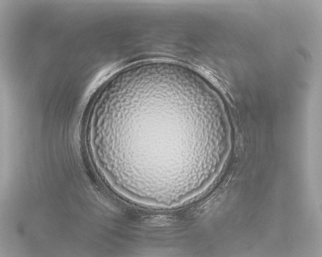 X0000116420151200912221452
