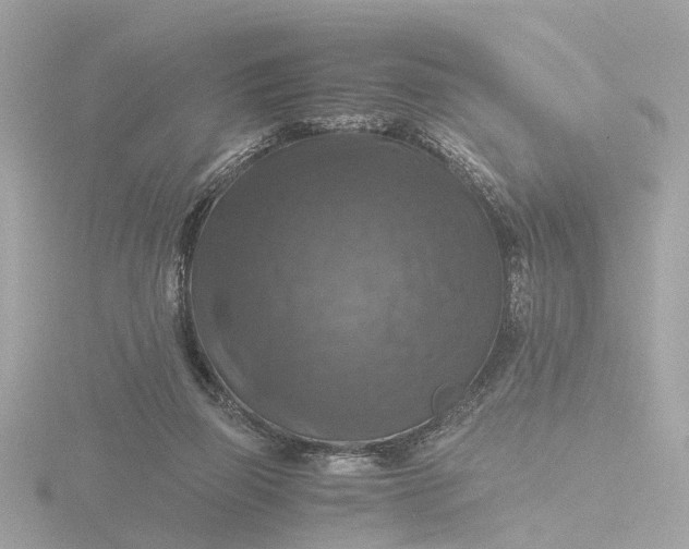 X0000116420165200912221452