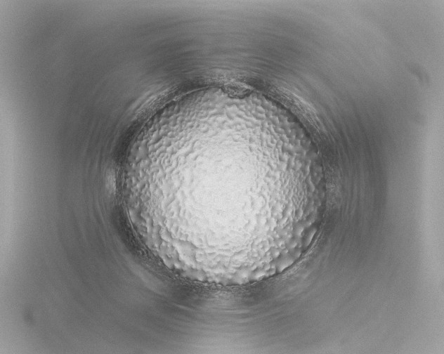 X0000116420166200912221452