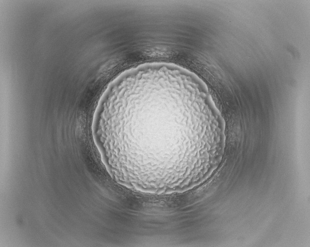 X0000116420175200912221452
