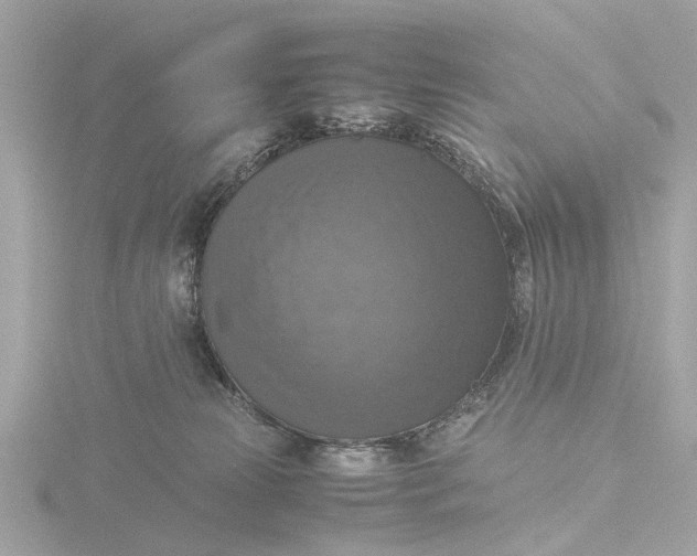 X0000116420181200912221452