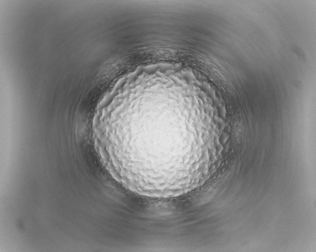 X0000116420185200912221452