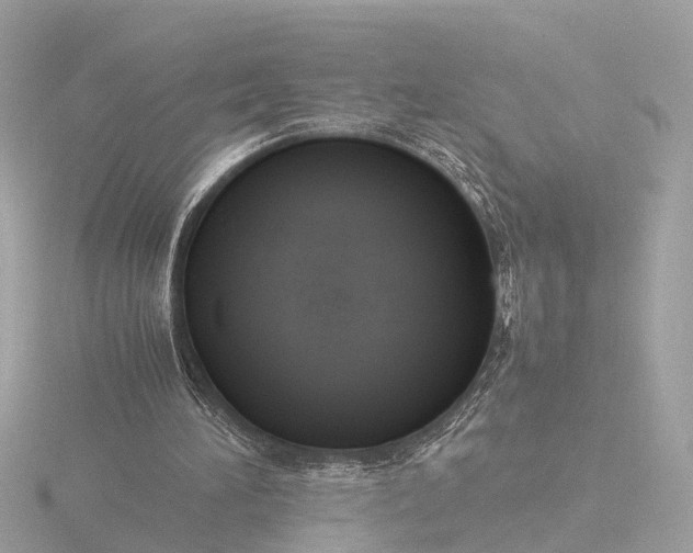 X0000116420196200912221452