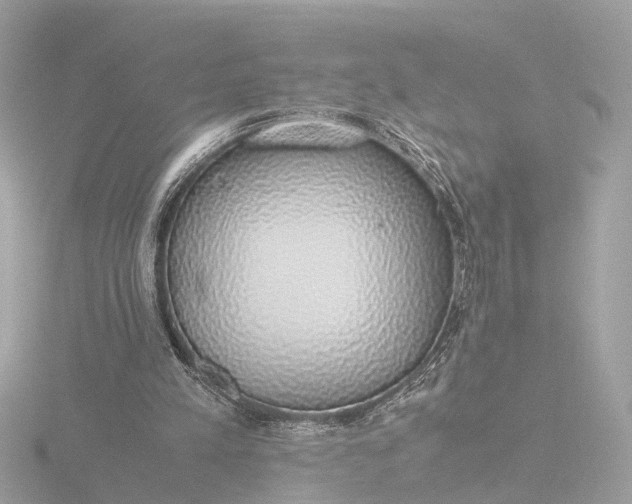X0000116420197200912221452