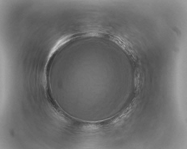 X0000116420198200912221452