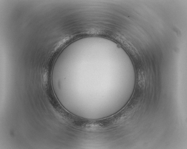 X0000116420208200912221452