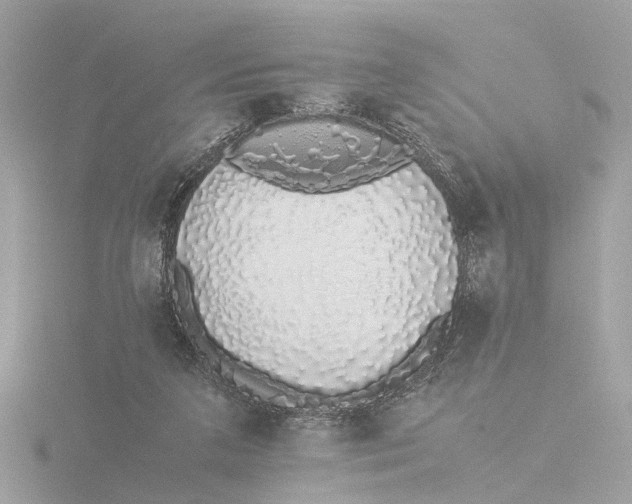 X0000116420211200912221452