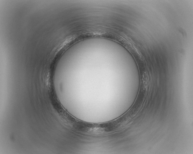 X0000116420212200912221452