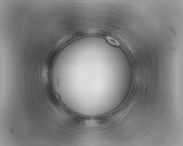 X0000116420216200912221452