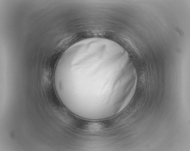X0000116420218200912221452