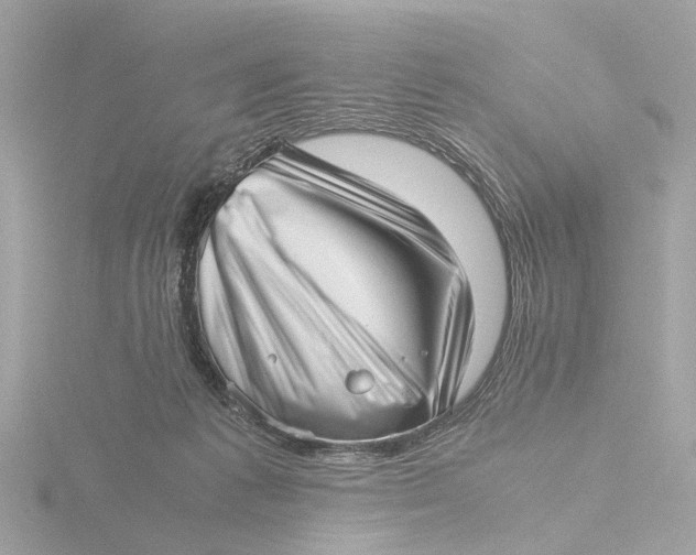 X0000116420221200912221452