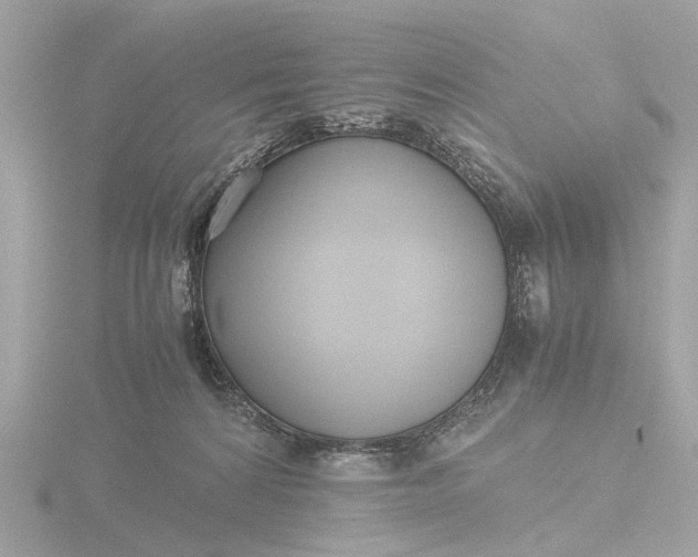X0000116420224200912221452