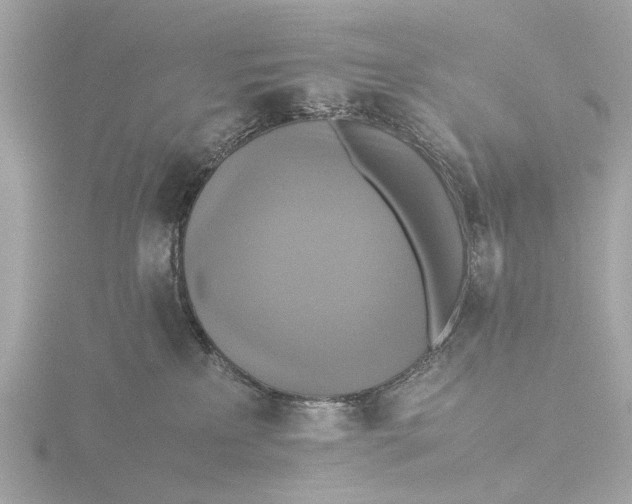 X0000116420233200912221451