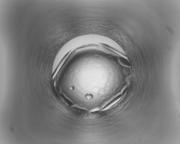 X0000116420235200912221451