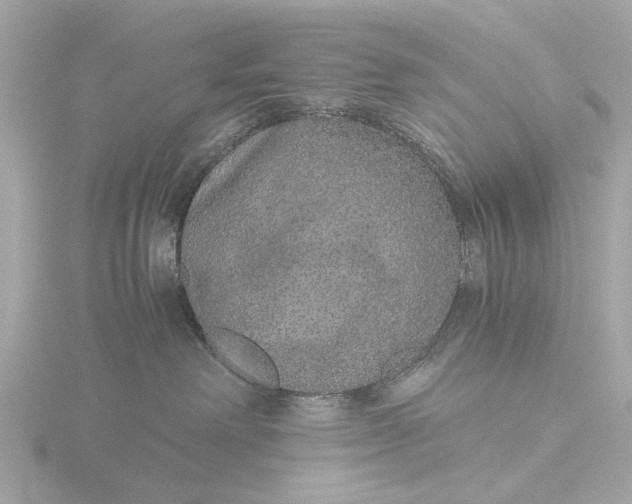 X0000116420238200912221451