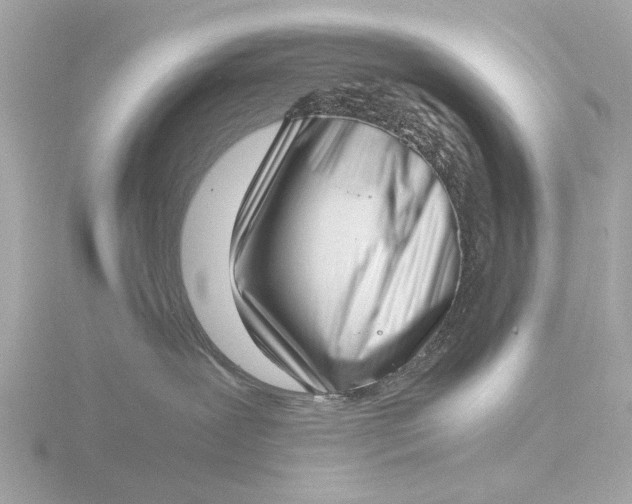X0000116420239200912221451