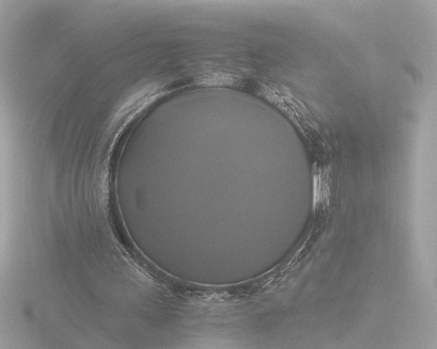 X0000116420243200912221451