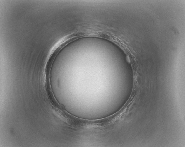 X0000116420246200912221451