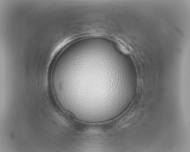 X0000116420248200912221451