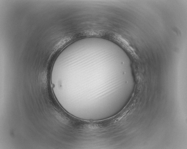 X0000116420250200912221451